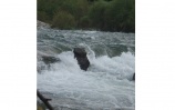 Rafting Bel� - M�j 2007 